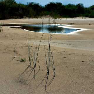 Christiane Maluche photo