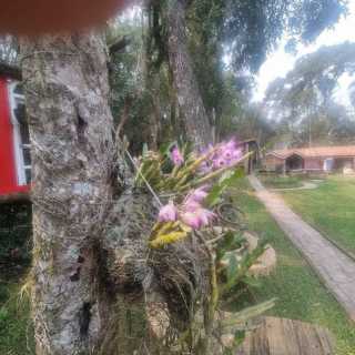 Magnus Gidlund photo