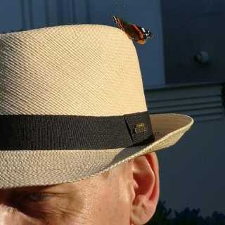 Manfred Winter photo