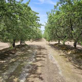 Joaquín Tagle photo