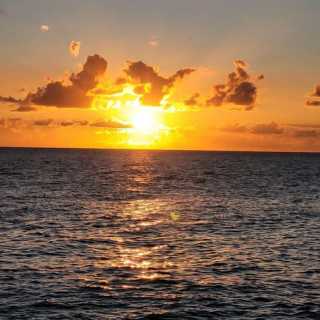 Alethea Bonello photo