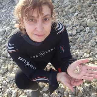 Diana Zlatanova photo