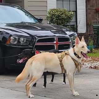 Gabriel Gabriel photo