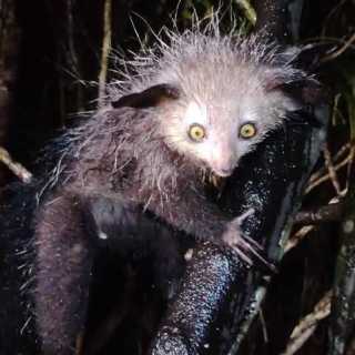 Mike Brocklehurst photo