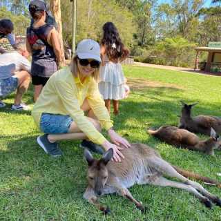 Elina Galaganova photo