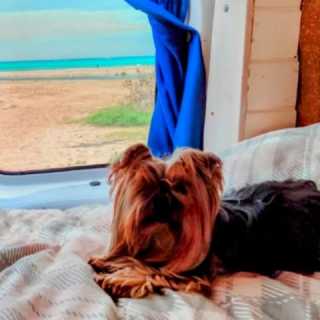 Pedro Gonzalez photo