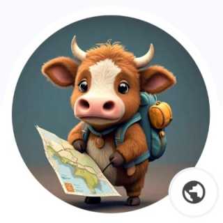 Traveling Cow photo