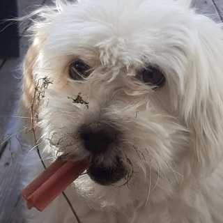 Jón Hlíðberg photo