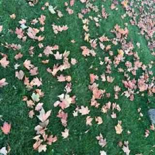 Valentina Valentina photo