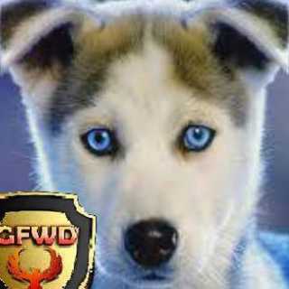 Thomas Anderson photo