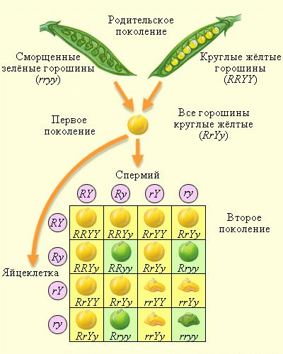 Вот как-то так это было )) Вот как-то так это было ))