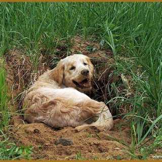 Natalia Zakharova photo