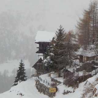 Tatiana Gerasimenko photo