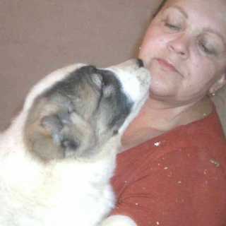 Наталия Александровская photo