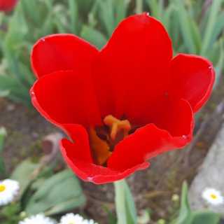 Bakulya Myrzabekova photo