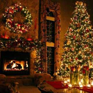 Denis Shuvaloff photo