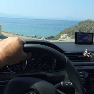 Саша Грэдинарь photo