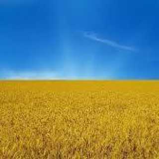 Natalya Balyuk photo