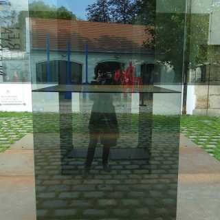 Яна Швецова