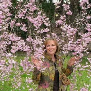 Elena Gavrilova photo