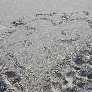 Ilka Schneider photo