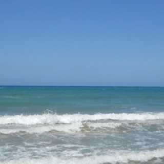 Юлия Петухова photo