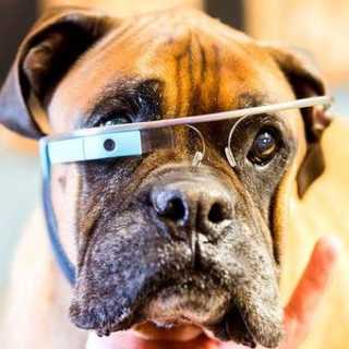 Олег Белов photo