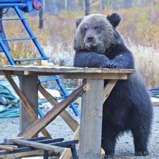 Mike Zaretskiy photo