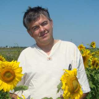 AleksandrVolk avatar