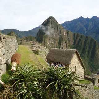 Grazia Graziani photo