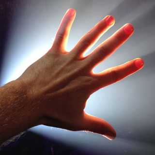 Damien Dufaitre photo