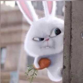 Владимир Самойлов photo