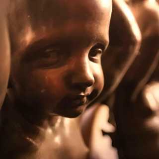 Artem Kirakozov photo