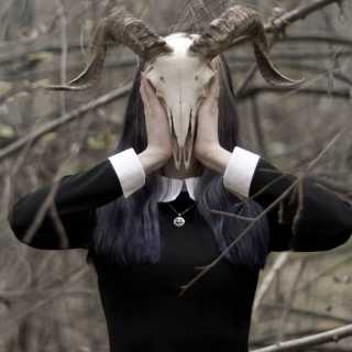 Багира Черная photo