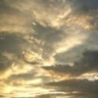 Алексей Литвинов photo