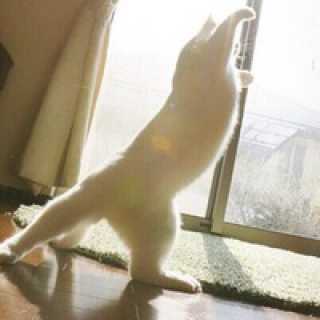 Рина Тимофеева photo