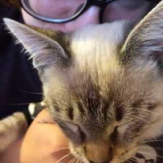 Юлия Валова photo