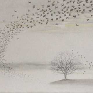 Дмитрий Марголис photo