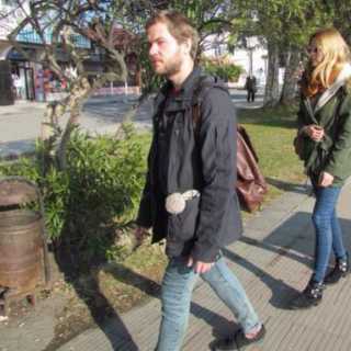 Алексей Точилин photo