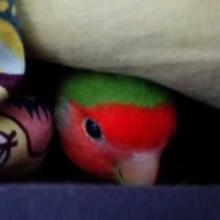 Эдуард Васильев photo