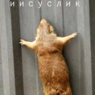 Маша Маша photo