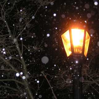 Alena Kornienko photo