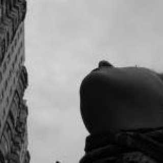 Epiandrenish Kate photo