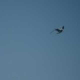 Ирвика Смирнова photo