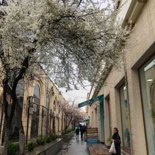 Гайшэ Шарипова photo