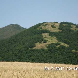 Tigran Sirunyan photo