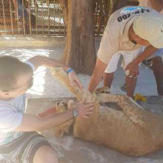 Kristian Petrov photo