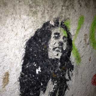 Oliver Carlengrd photo