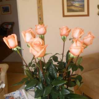 Masla Mikulasska photo