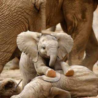 Keoabetswe-Kb Moeng photo